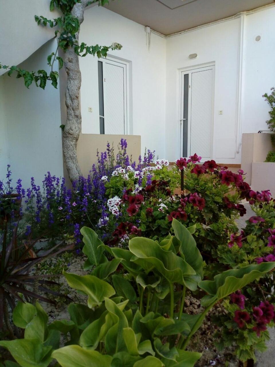 Appartement Yannis Amoudara Lasithiou