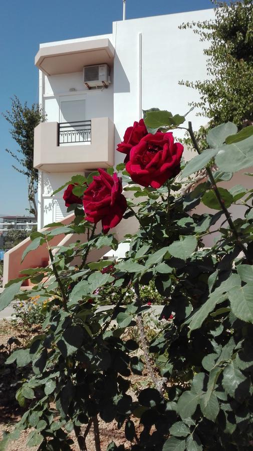 Apartment Yannis *