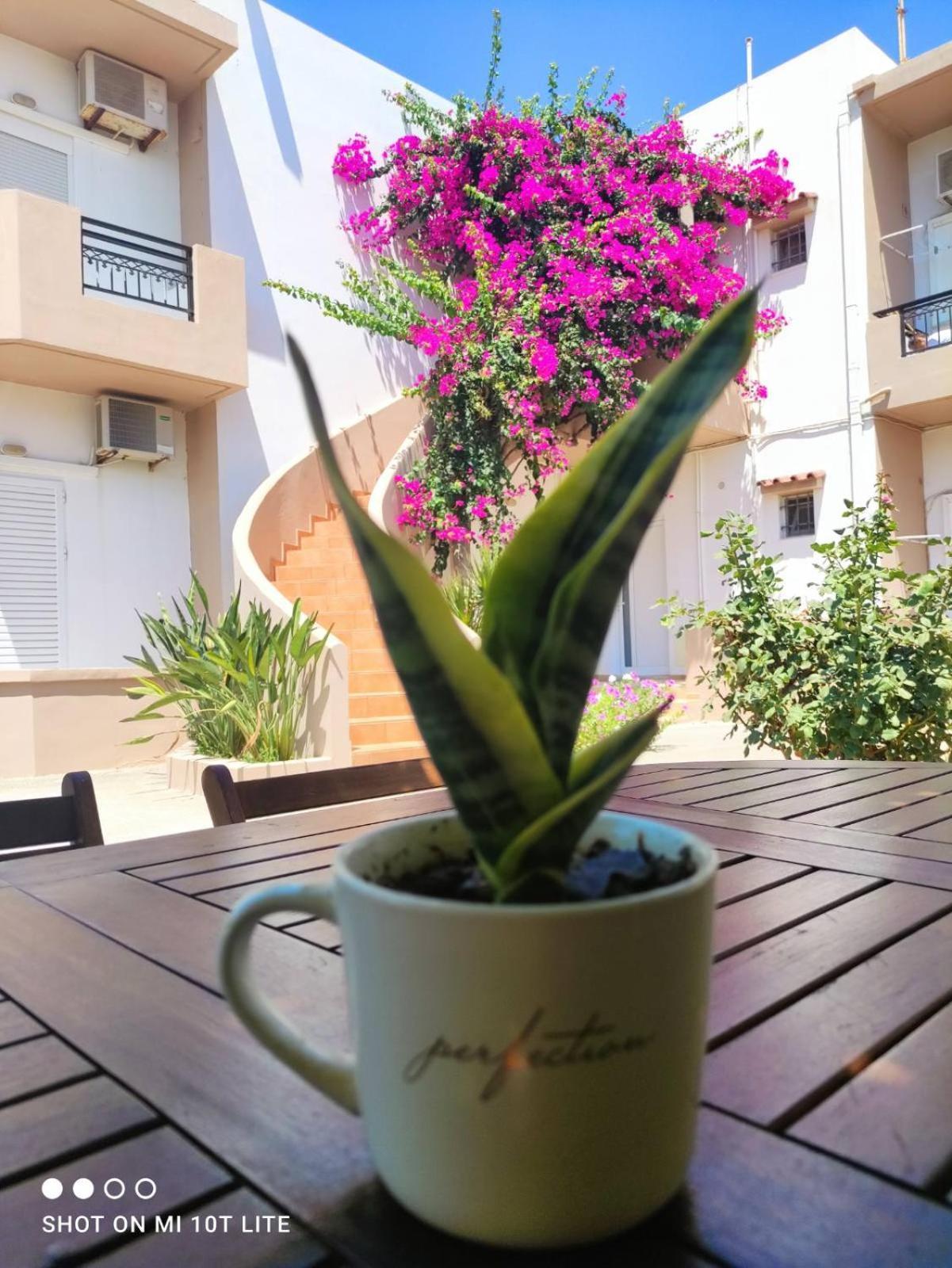Yannis Appartement *