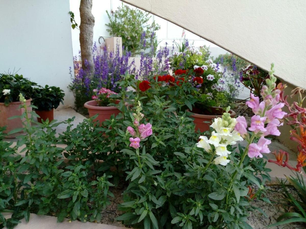 Appartement Yannis Amoudara Lasithiou